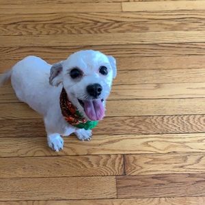 Meet your Posher, Anthony